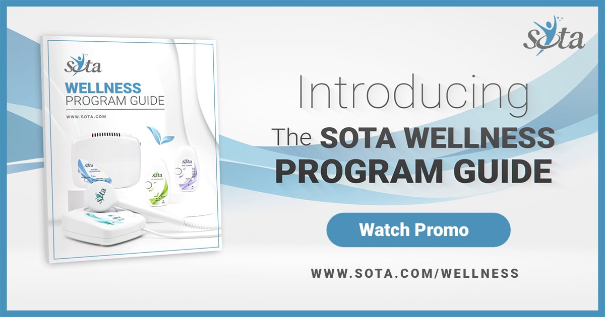 The SOTA Wellness Program Guide booklet.